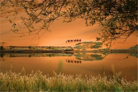 上海自考自考畢業即將來襲如何攻克論文關?